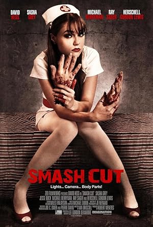 Cover image of the movie Smash Cut (2009)