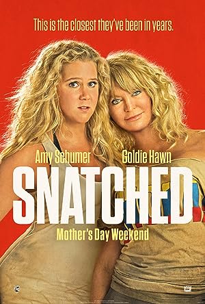 Cover image of the movie Snatched (2017)