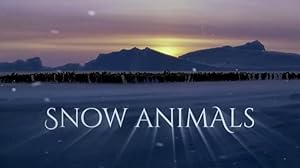 Cover image of the movie Snow Animals (2019)