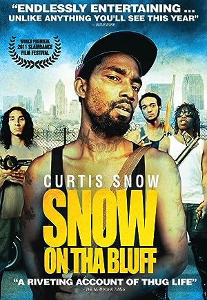 Cover image of the movie Snow on Tha Bluff (2011)