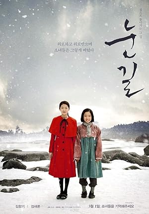 Cover image of the movie Snowy Road (2015)
