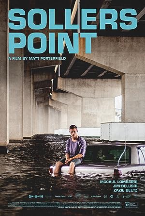 Cover image of the movie Sollers Point (2017)