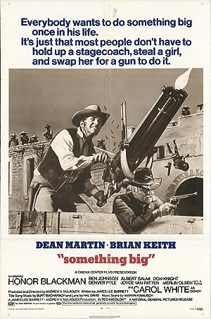 Cover image of the movie Something Big (1971)
