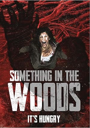 Cover image of the movie Something in the Woods (2022)