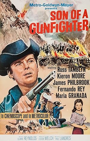 Cover image of the movie Son of a Gunfighter (1965)