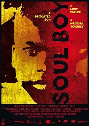 Cover image of the movie Soul Boy (2010)