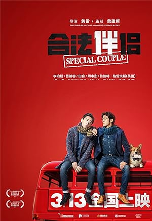 Cover image of the movie Special Couple (2019)