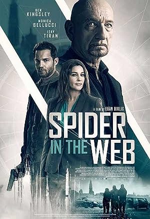 Cover image of the movie Spider in the Web (2019)