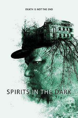 Cover image of the movie Spirits in the Dark (2020)
