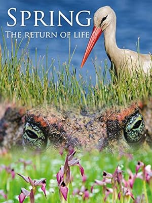 Cover image of the movie Spring: The Return of Life (2014)