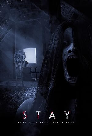 Cover image of the movie Stay (2021)