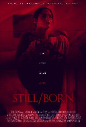 Cover image of the movie Still/Born (2017)