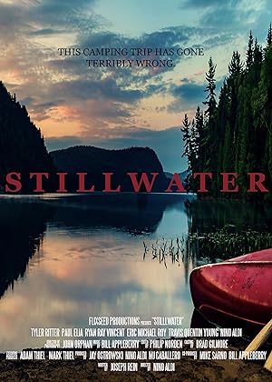 Cover image of the movie Stillwater (2018)