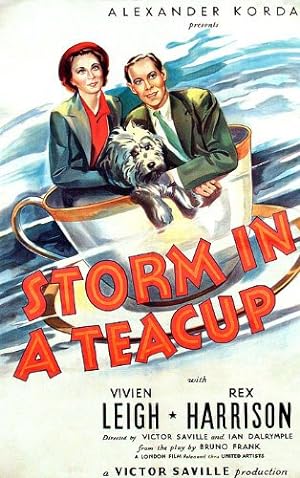 Cover image of the movie Storm in a Teacup (1937)
