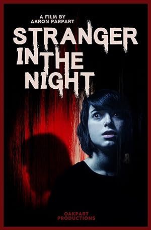 Cover image of the movie Stranger in the Night (2019)