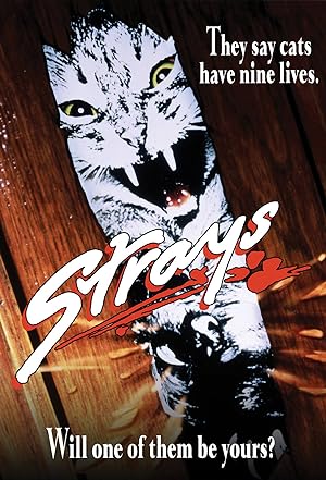 Cover image of the movie Strays (1991)