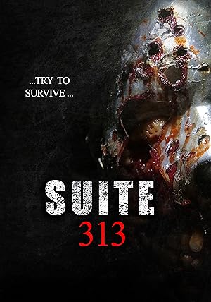 Cover image of the movie Suite 313 (2017)