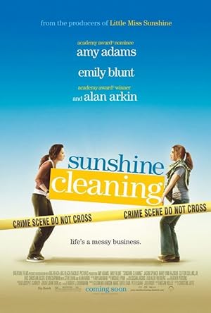 Cover image of the movie Sunshine Cleaning (2008)