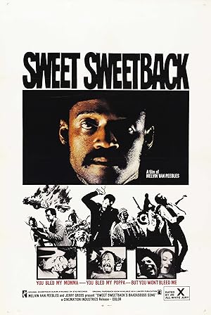 Cover image of the movie Sweet Sweetback's Baadasssss Song (1971)