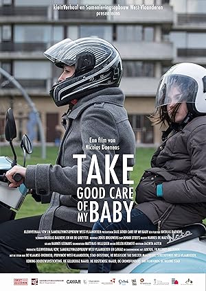 Cover image of the movie Take Good Care of My Baby (2017)