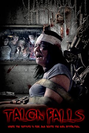 Cover image of the movie Talon Falls (2017)