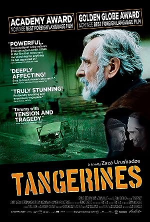 Cover image of the movie Tangerines (2013)