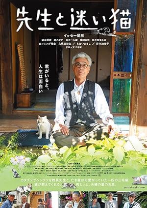 Cover image of the movie Teacher and Stray Cat (2015)