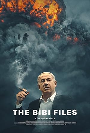 Cover image of the movie The Bibi Files (2024)