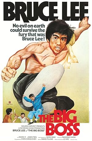 Cover image of the movie The Big Boss (1971)