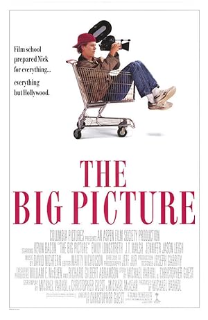 Cover image of the movie The Big Picture (1989)