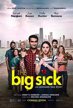 Cover image of the movie The Big Sick (2017)