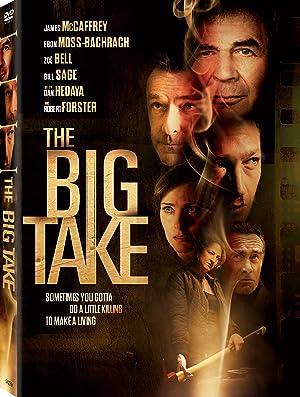 Cover image of the movie The Big Take (2018)