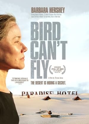 Cover image of the movie The Bird Can't Fly (2007)