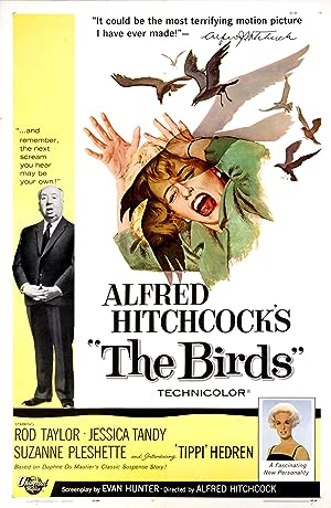 Cover image of the movie The Birds (1963)