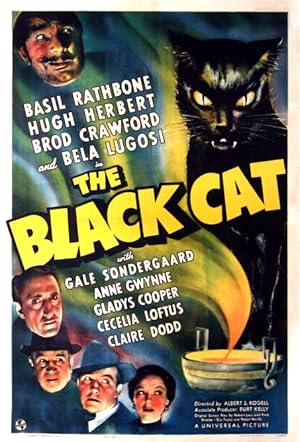 Cover image of the movie The Black Cat (1941)