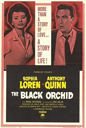 Cover image of the movie The Black Orchid (1958)