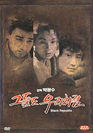 Cover image of the movie The Black Republic (1990)