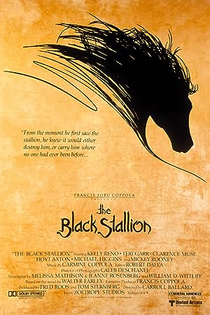 Cover image of the movie The Black Stallion (1979)