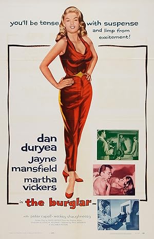 Cover image of the movie The Burglar (1957)