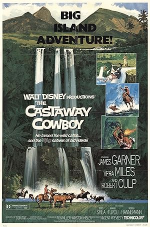 Cover image of the movie The Castaway Cowboy (1974)
