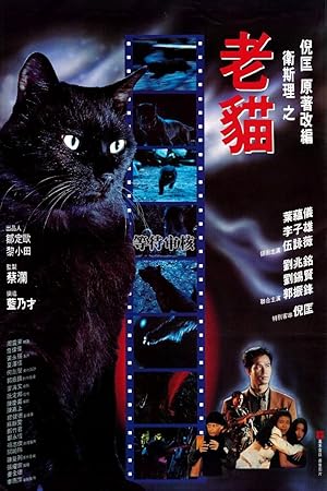 Cover image of the movie The Cat (1991)