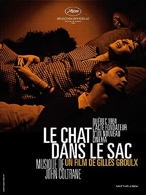 Cover image of the movie The Cat in the Bag (1964)