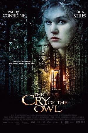 Cover image of the movie The Cry of the Owl (2009)