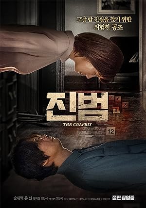 Cover image of the movie The Culprit (2019)