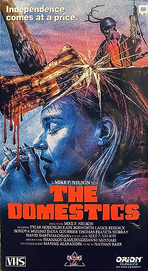 Cover image of the movie The Domestics (2018)