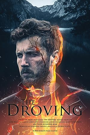 Cover image of the movie The Droving (2020)