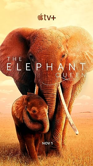 Cover image of the movie The Elephant Queen (2018)