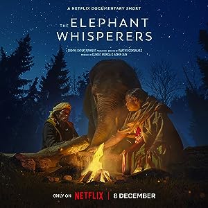 Cover image of the movie The Elephant Whisperers (2022)