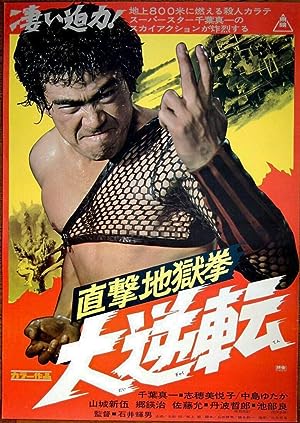 Cover image of the movie The Executioner II: Karate Inferno (1974)