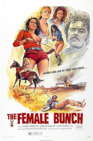 Cover image of the movie The Female Bunch (1971)